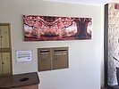 Property Image 2397